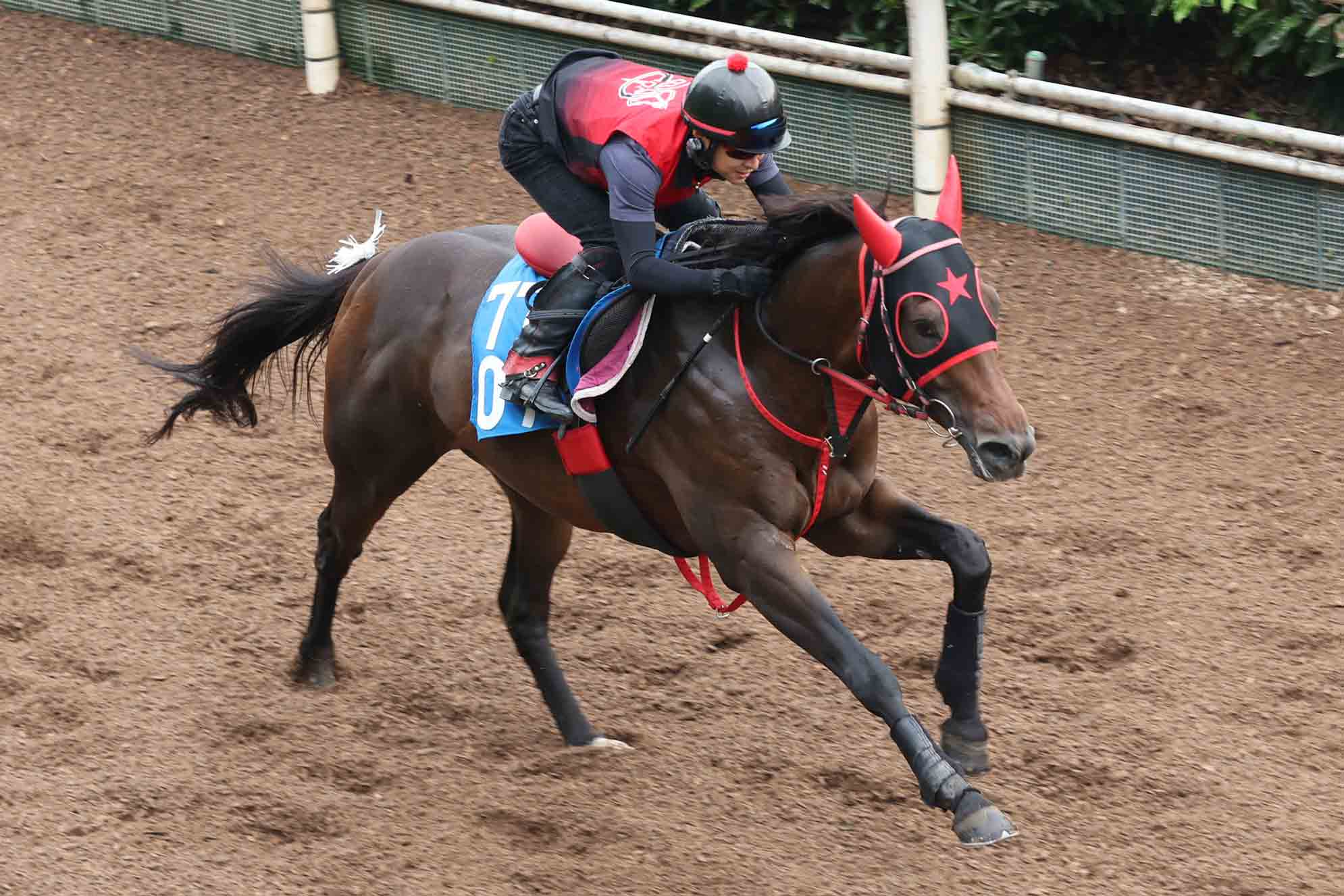 2021年GⅠプレイバック】ジャパンカップ 5冠の感動を胸に…コン